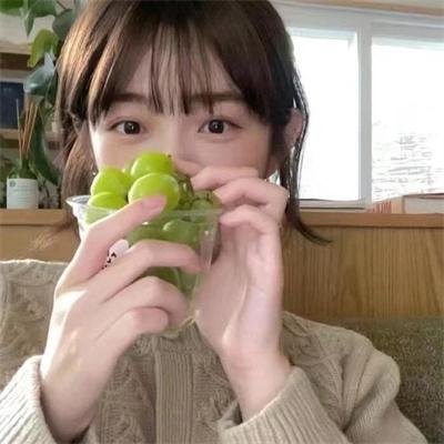 市长先生的完美任期